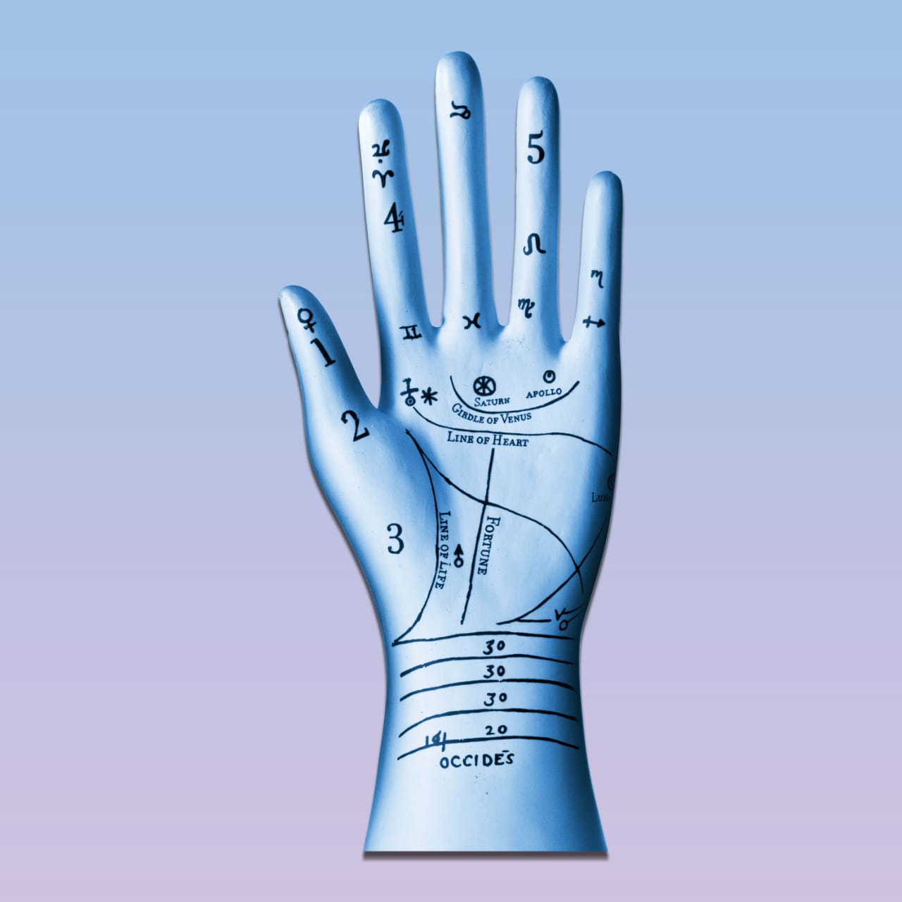 PALMISTRY WITH US  image